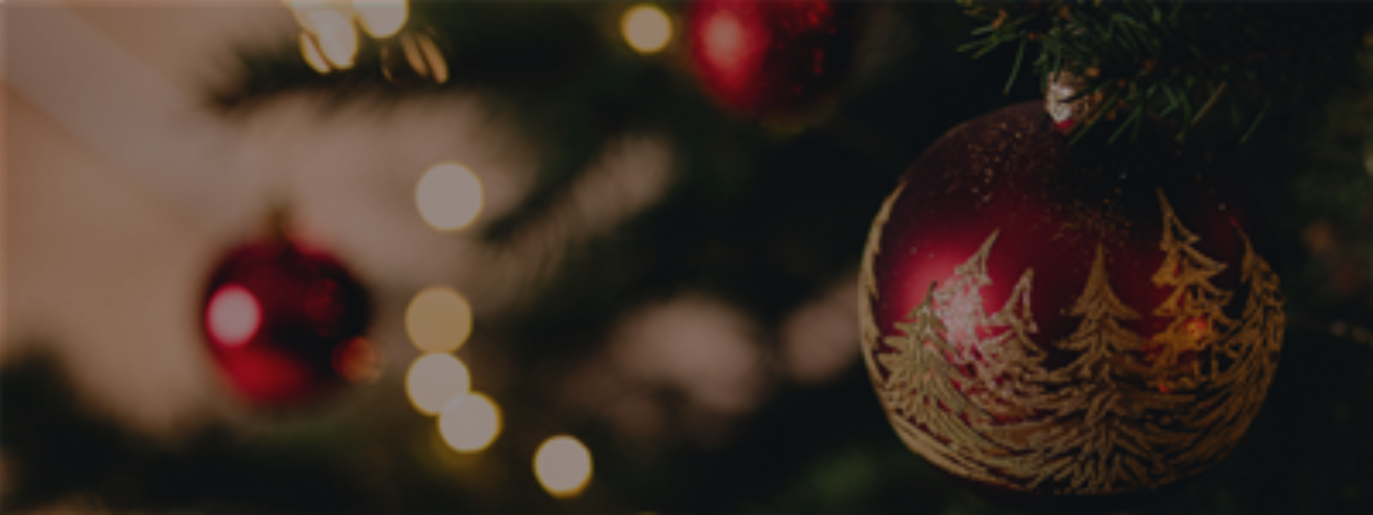 The Greatest Christmas Present*Nativity Puppet Show